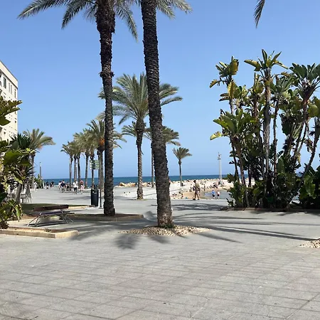 Big On The Of Playa Del Cura Maximum 6 Adults Torrevieja