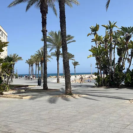 Big On The Of Playa Del Cura Maximum 6 Adults Τορεβιέχα